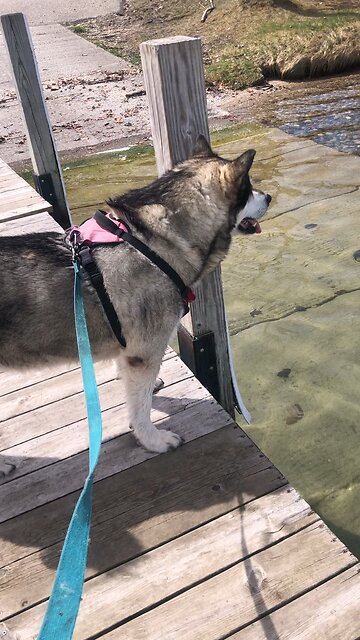 Wednesday April 30, Those who plunder you will be plundered.