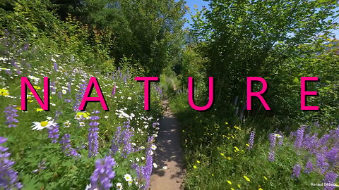 NATURE WALK