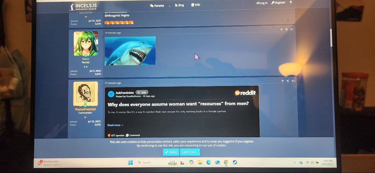 bored ranting and ramblings 2