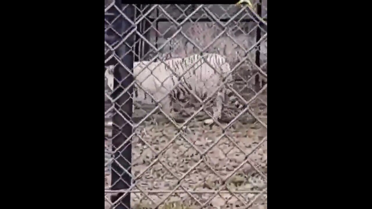 A Much Needed Laugh After All We Had To Deal With This Week