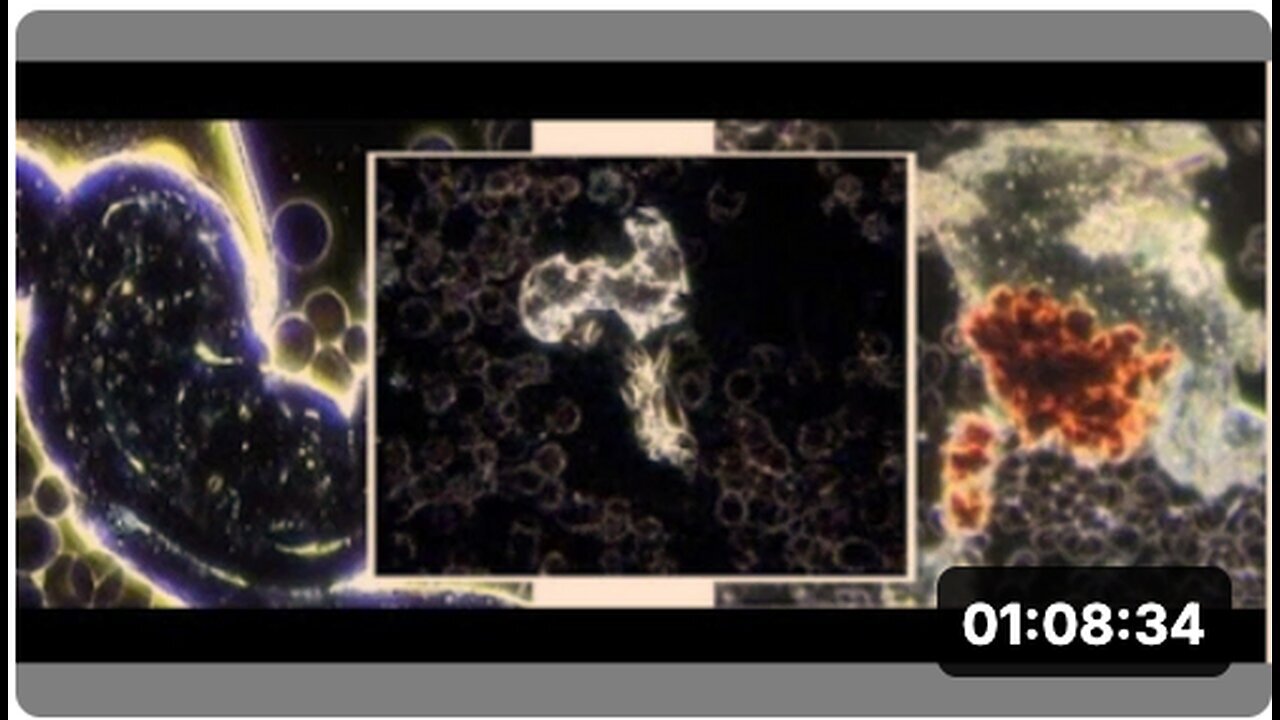 "Terrain Theory Discussion: Dr. Kaufman with Adam and Josh Bigelsen"