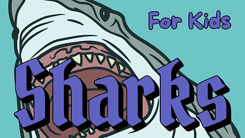 Sharks: The Ultimate Ocean Predators! 🦈