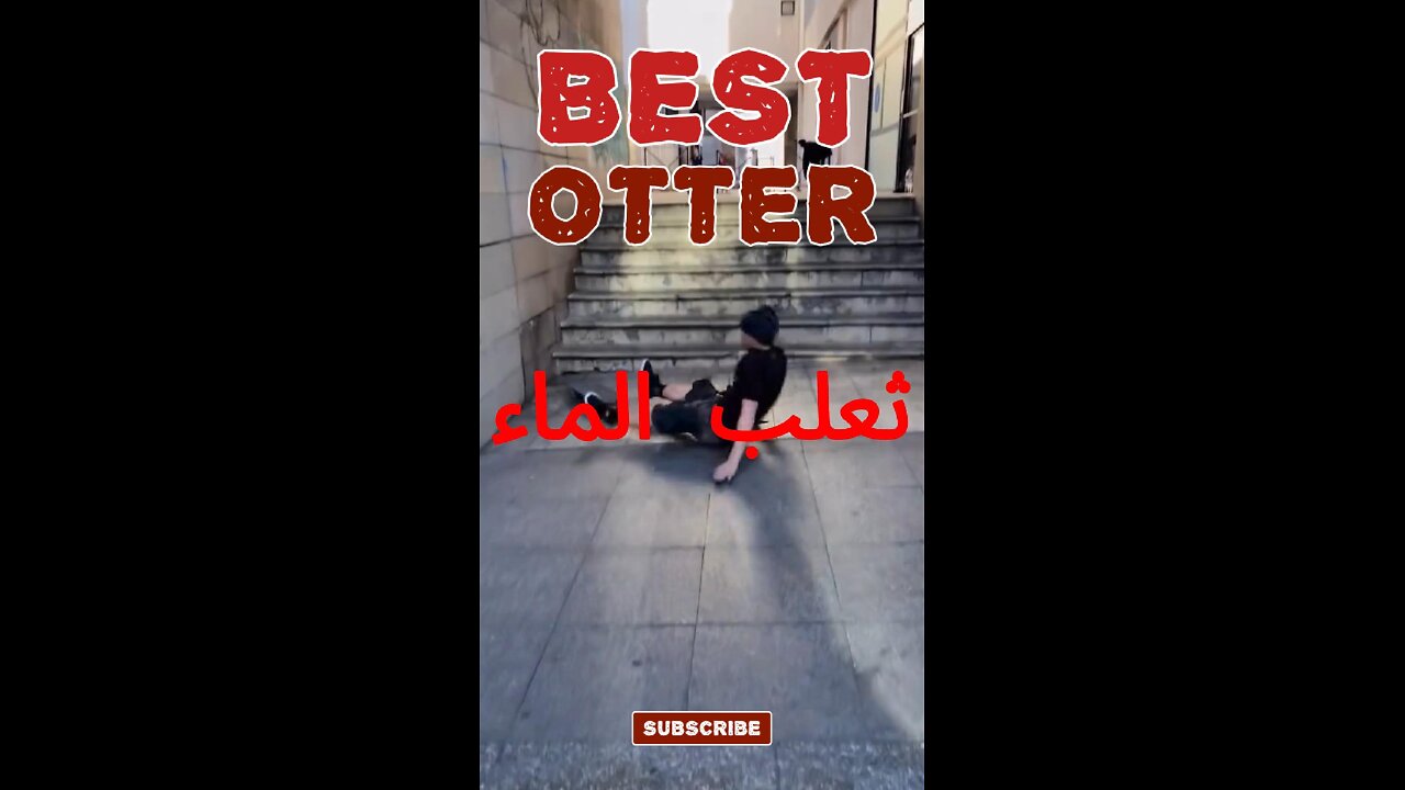 #ثعالب_الماء