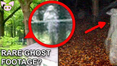 Can Anyone Explain This Freaky Footage?