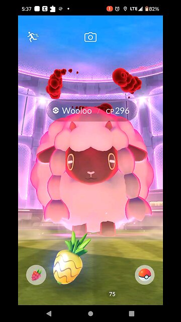 I caught the dynamax Pokemon on Pokemon go