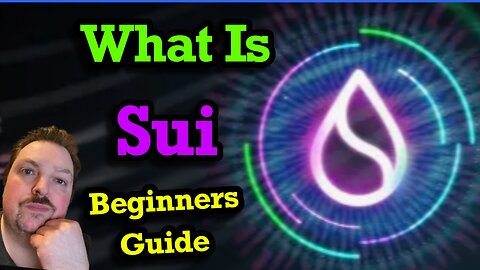 Sui Blockchain Explained: A Beginner's Guide to the Revolutionary Layer 1 Network
