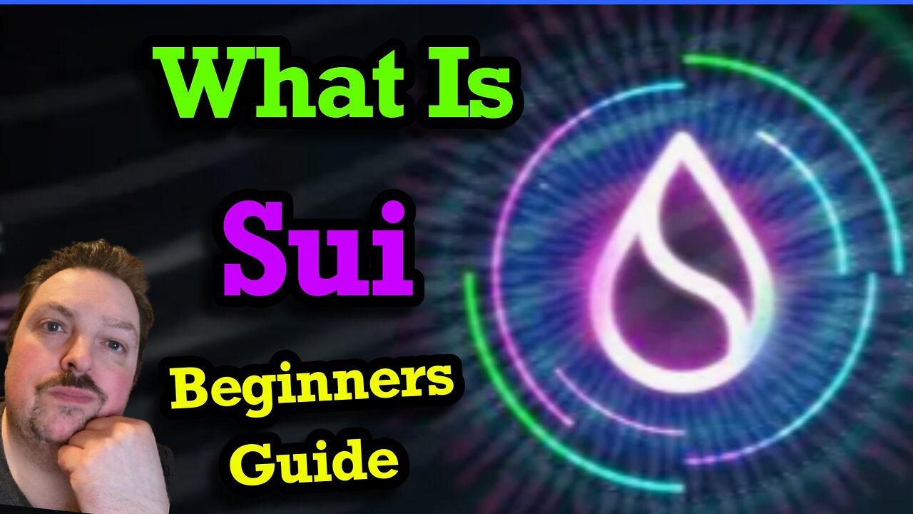 Sui Blockchain Explained: A Beginner's Guide to the Revolutionary Layer 1 Network