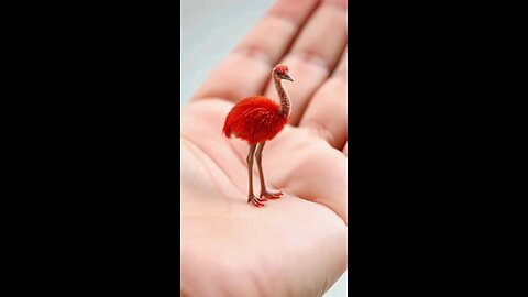 Burung unta