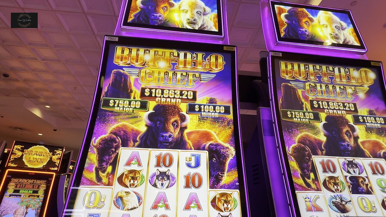 Buffalo Chief Win 💥🎰⭐