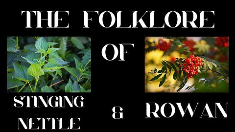 S9 Ep 2 The Magic of Nettle and Rowan Folklore, Healing, and Mystery