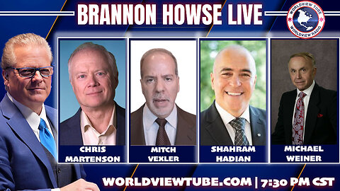 Dollar Collapse, Bond Fraud, Epstein & More | Chris Martenson, Mitch Vexler, Shahram Hadian & More