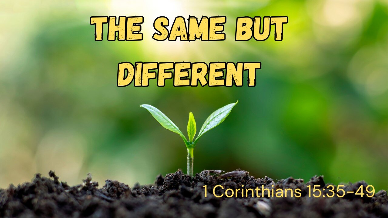 The Same But Different