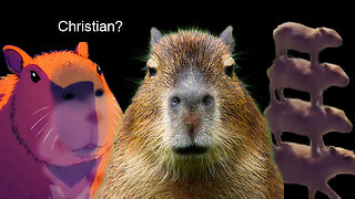 Capybaras Are Christian (Why It Matters)