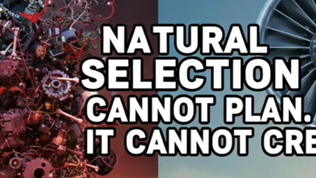 La création biblique face à la théorie de l’évolution