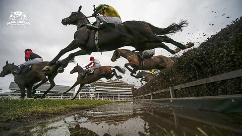 Horse Racing - The most thrilling start to a race ever!
