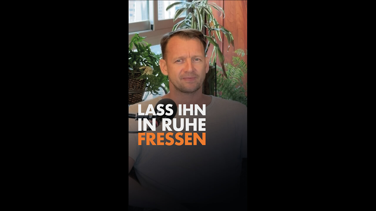 🥸🐶 Lass ihn in Ruhe fressen!