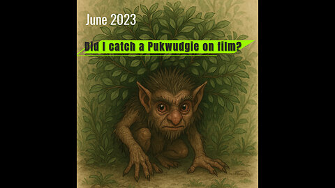 Did I catch a Pukwudgie on camera, as some have suggested?