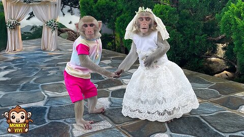 So surprised! YinYin wanted to marry YiYi