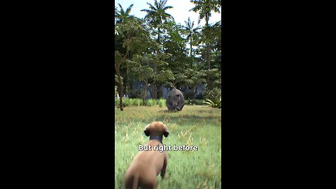 Dog Saves Woman From A Bear Attack 🐈🐻