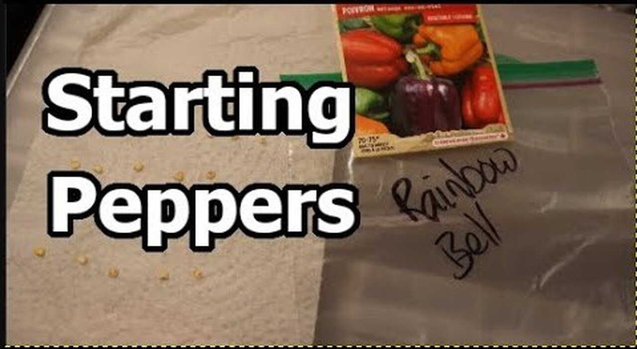 Why You Should Start Pepper Seeds in February | My Gardening Process & Tips