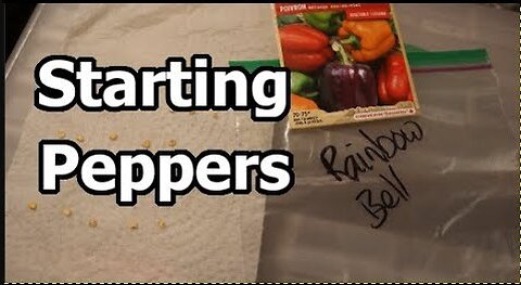 Why You Should Start Pepper Seeds in February | My Gardening Process & Tips