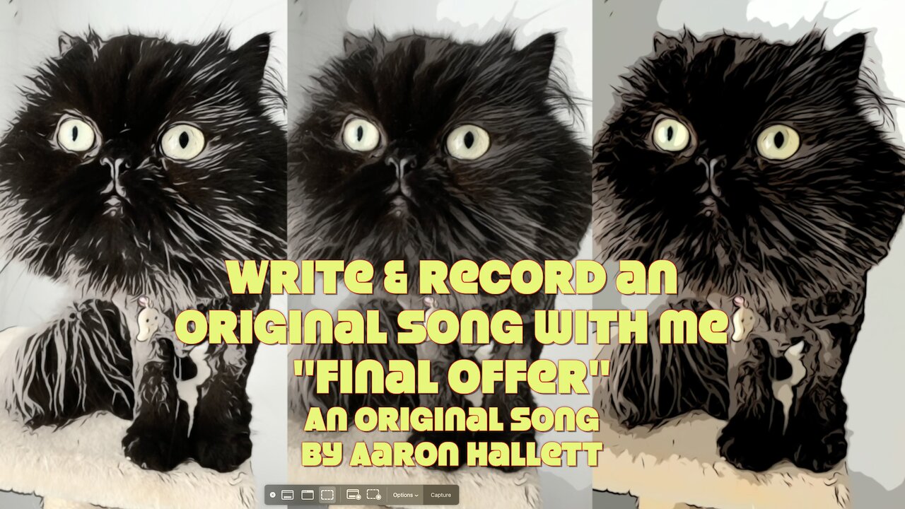 Write & Record an Original Song With Me "Final Offer" an Original Song by Aaron Hallett