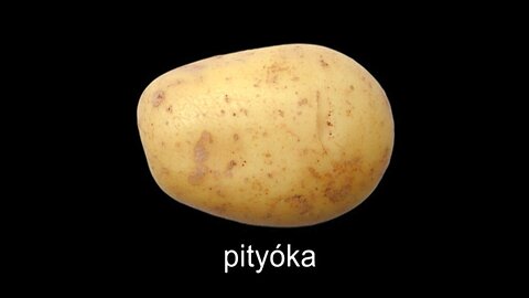 Székely nyelvlecke magyaroknak I.