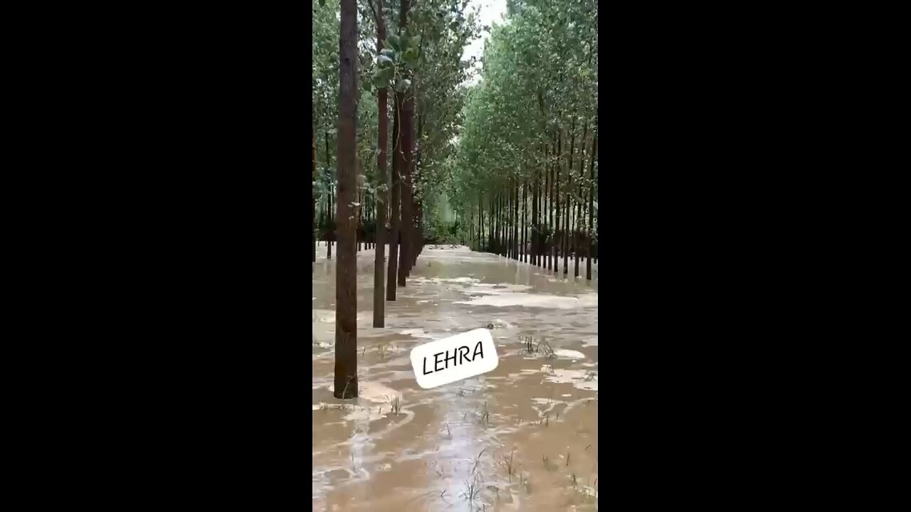 floods in punjab india 2025