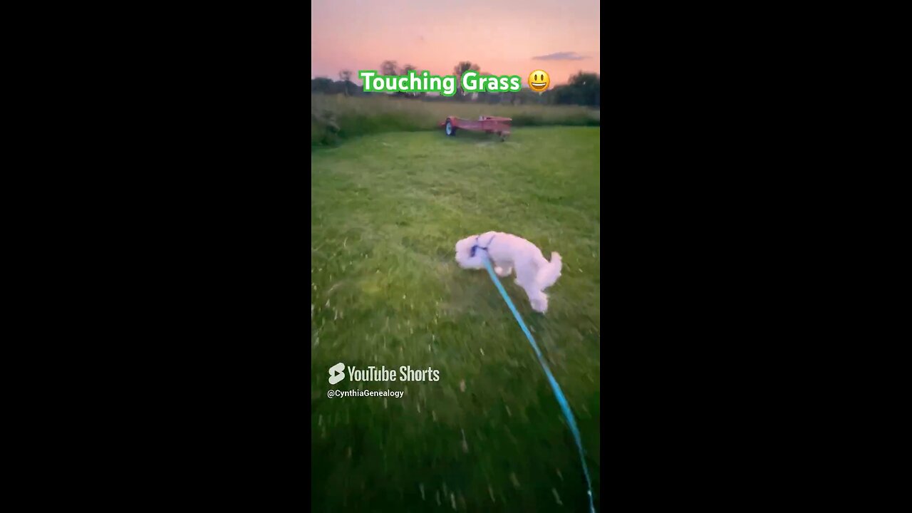 Enjoy Country Nature