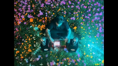 Feral Array-AcidAttack( chill instrumental)