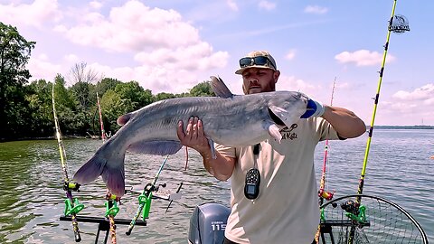 Landing GIANT BLUE CATFISH on MadKatz Rods Using Nocturnal Nation Catfish Hooks