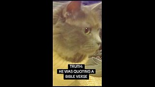 THE TOP LIES ABOUT CHARLIE KIRK DEBUNKED BY CROWDER. #1: It Was A Bible Verse Bro! ‎⁨@vermontredpill