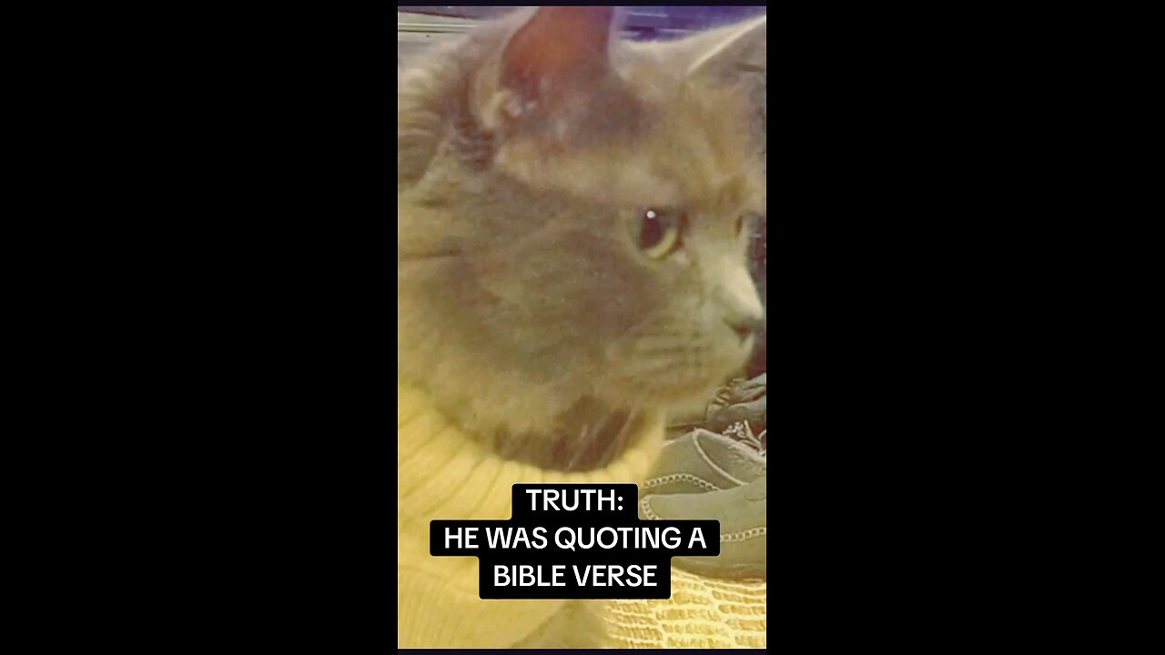 THE TOP LIES ABOUT CHARLIE KIRK DEBUNKED BY CROWDER. #1: It Was A Bible Verse Bro! ‎⁨@vermontredpill