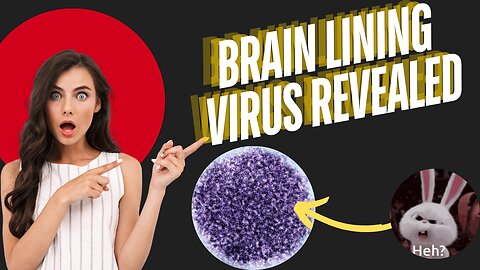 Virus Found in Brain Lining of Schizophrenia Patients—Game-Changing Discovery!