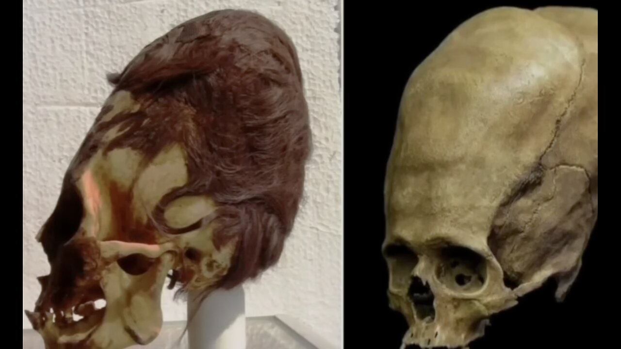 Dismantling the Official Narrative