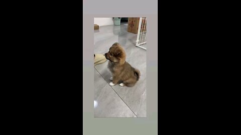 चल अपने कमरे मे