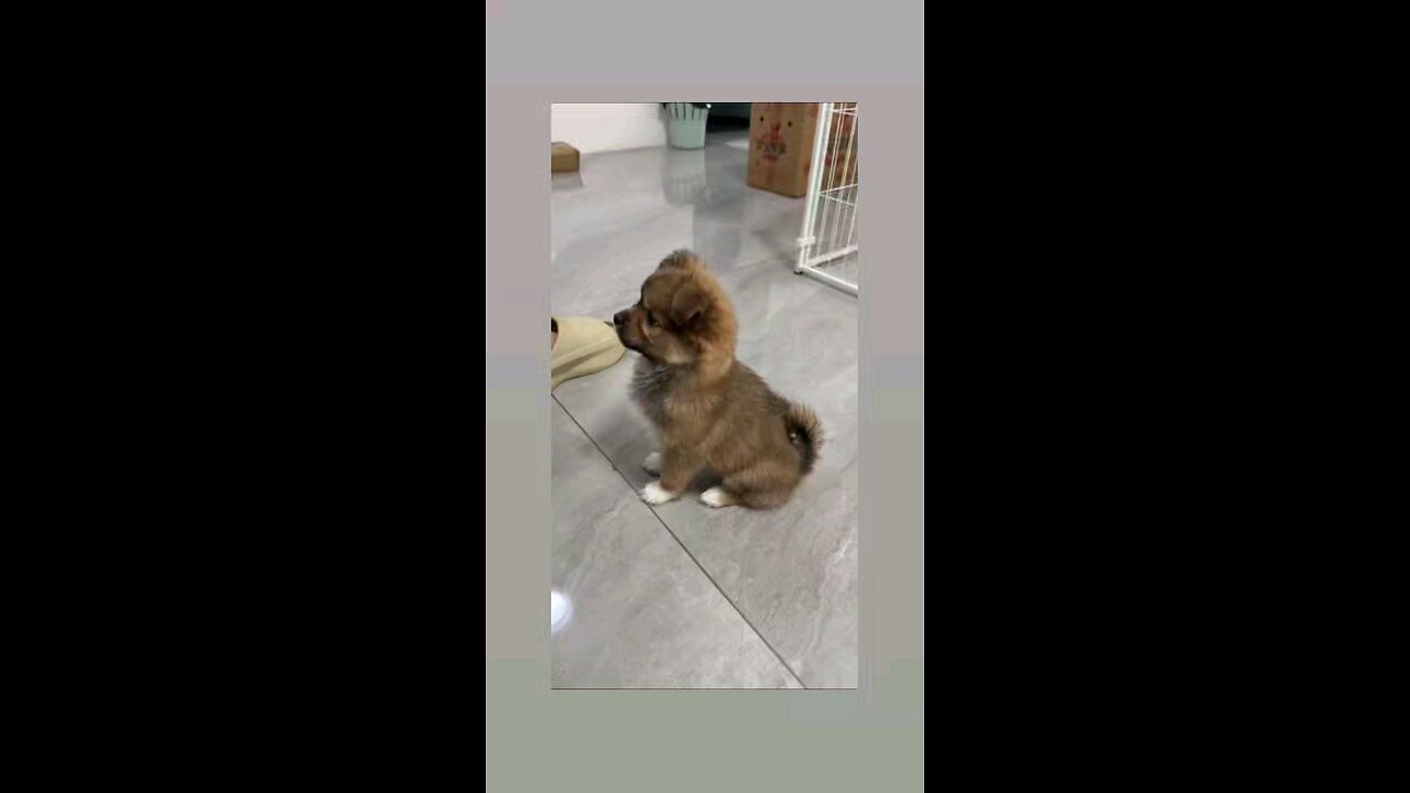 चल अपने कमरे मे