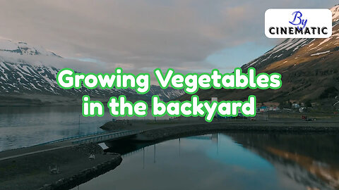 Growing Vegetables in the backyard