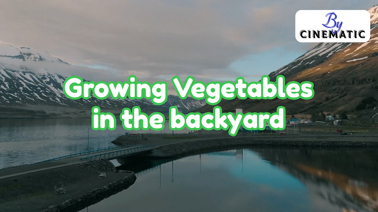 Growing Vegetables in the backyard