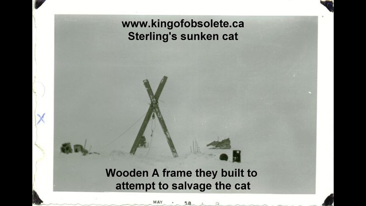 Lots of Adventures to do When the Money Tree Blossoms Apr 22 2025