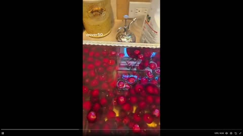 This is SICK. You eat it. Worms- Cherry worms - holy hell - a test verified - read...