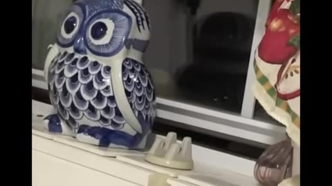 😱👽 Creepy Shadows During Ouija Board Session! | TheHauntingHour