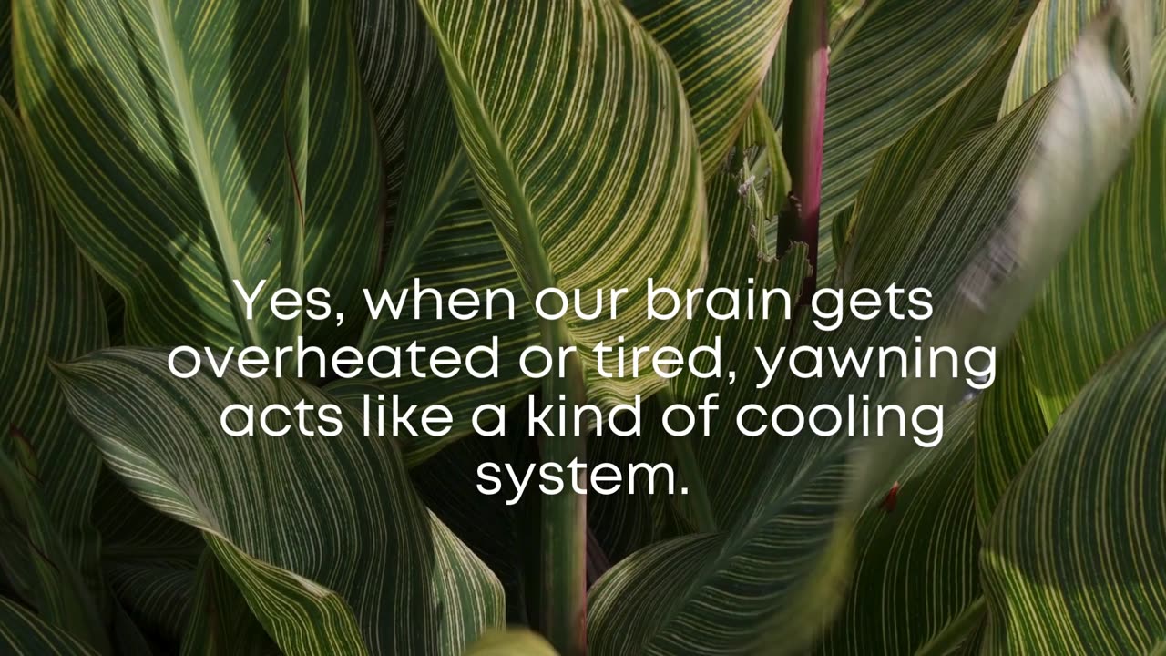 Why Do We Yawn? | The KnowHub #Shorts