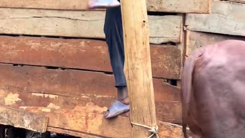 Talented Contortionist Shows Off His Skills