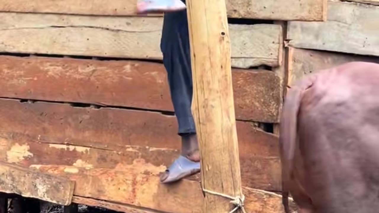Talented Contortionist Shows Off His Skills