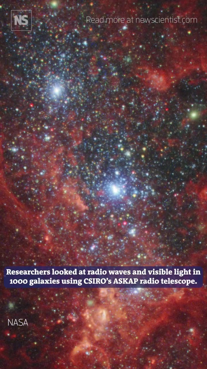 HOW GAS DISTRIBUTION INFLUENCES THE FORMATION OF STARS