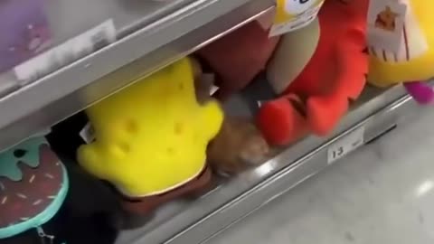 When asked, did you smoke anything? 😂