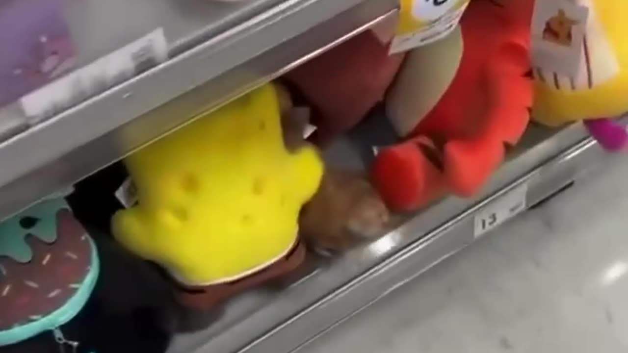 When asked, did you smoke anything? 😂