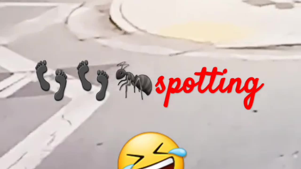 #DOA TO SPOT A BUG! 🤣