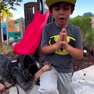 This is what we're fighting for